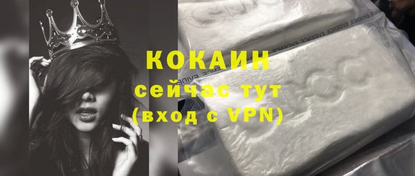 соль ск Абаза